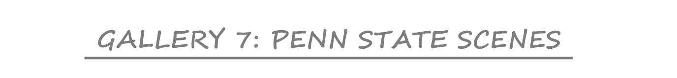Gallery 7: Penn State Scenes